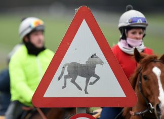 Equine flu outbreak spreads with 174 racing stables now in lockdown