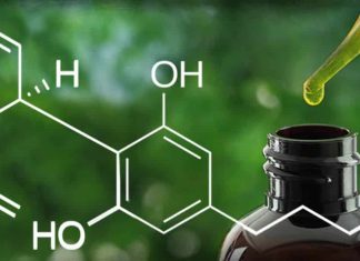CBD Oil – Is It Really Healthy?