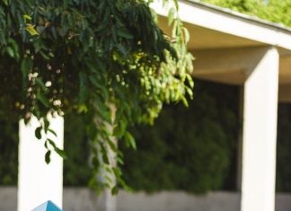 Debugging Stress: How Programming Assignment Help Eases Student Burdens